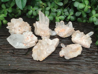 Natural Clear Quartz Clusters x 7 from Madagascar - Toprock Gemstones and Minerals 