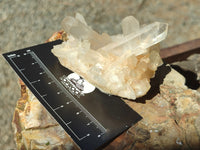 Natural Clear Quartz Clusters x 7 from Madagascar - Toprock Gemstones and Minerals 