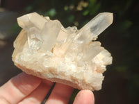 Natural Clear Quartz Clusters x 7 from Madagascar - Toprock Gemstones and Minerals 