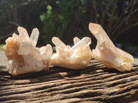 Natural Clear Quartz Clusters x 7 from Madagascar - Toprock Gemstones and Minerals 