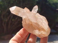 Natural Clear Quartz Clusters x 7 from Madagascar - Toprock Gemstones and Minerals 