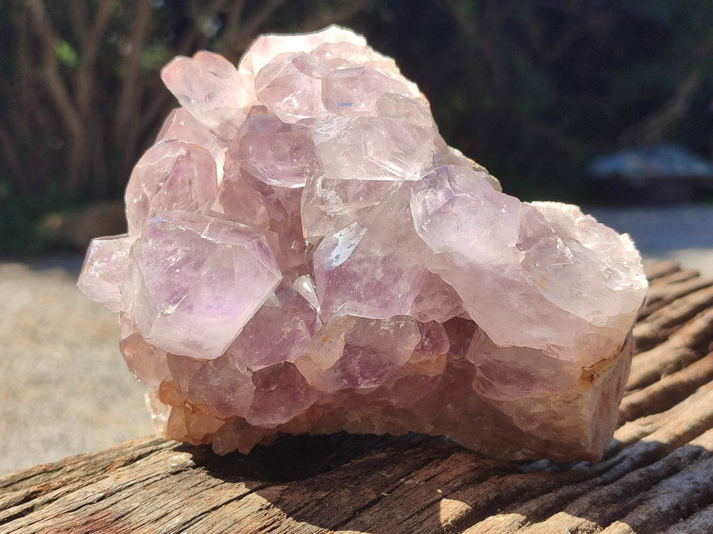 Natural Jacaranda Amethyst Quartz Clusters x 3 From Mumbwa, Zambia - Toprock Gemstones and Minerals 