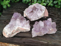 Natural Jacaranda Amethyst Quartz Clusters x 3 From Mumbwa, Zambia - Toprock Gemstones and Minerals 
