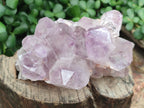 Natural Jacaranda Amethyst Quartz Clusters x 3 From Mumbwa, Zambia - Toprock Gemstones and Minerals 