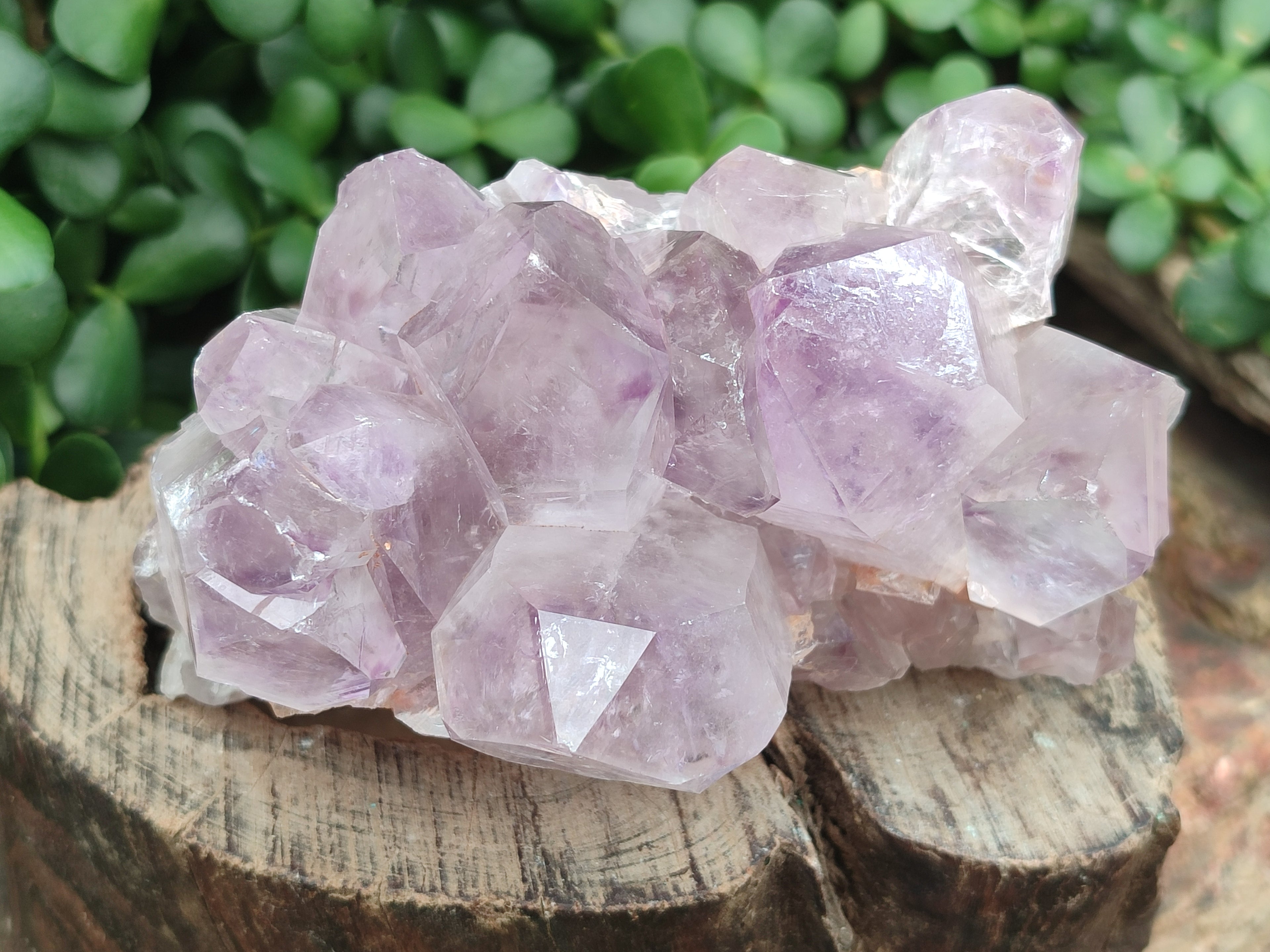 Natural Jacaranda Amethyst Quartz Clusters x 3 From Mumbwa, Zambia - Toprock Gemstones and Minerals 