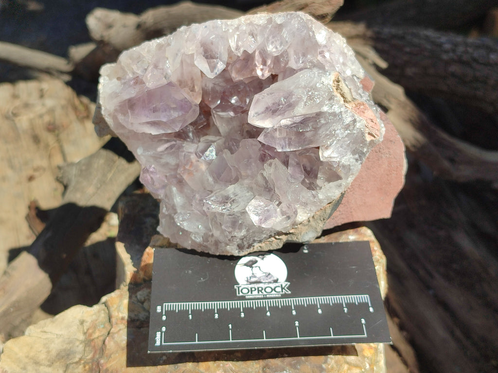 Natural Jacaranda Amethyst Quartz Clusters x 3 From Mumbwa, Zambia - Toprock Gemstones and Minerals 