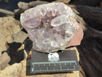 Natural Jacaranda Amethyst Quartz Clusters x 3 From Mumbwa, Zambia - Toprock Gemstones and Minerals 