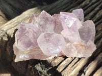 Natural Jacaranda Amethyst Quartz Clusters x 3 From Mumbwa, Zambia - Toprock Gemstones and Minerals 