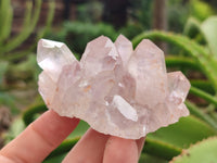 Natural Jacaranda Amethyst Quartz Clusters x 3.52 Kg Lot From Mumbwa, Zambia - Toprock Gemstones and Minerals 