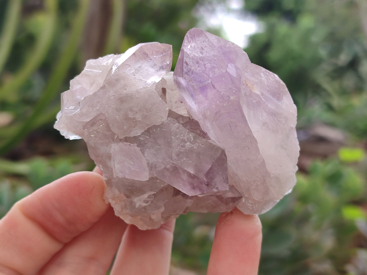 Natural Jacaranda Amethyst Quartz Clusters x 3.52 Kg Lot From Mumbwa, Zambia - Toprock Gemstones and Minerals 