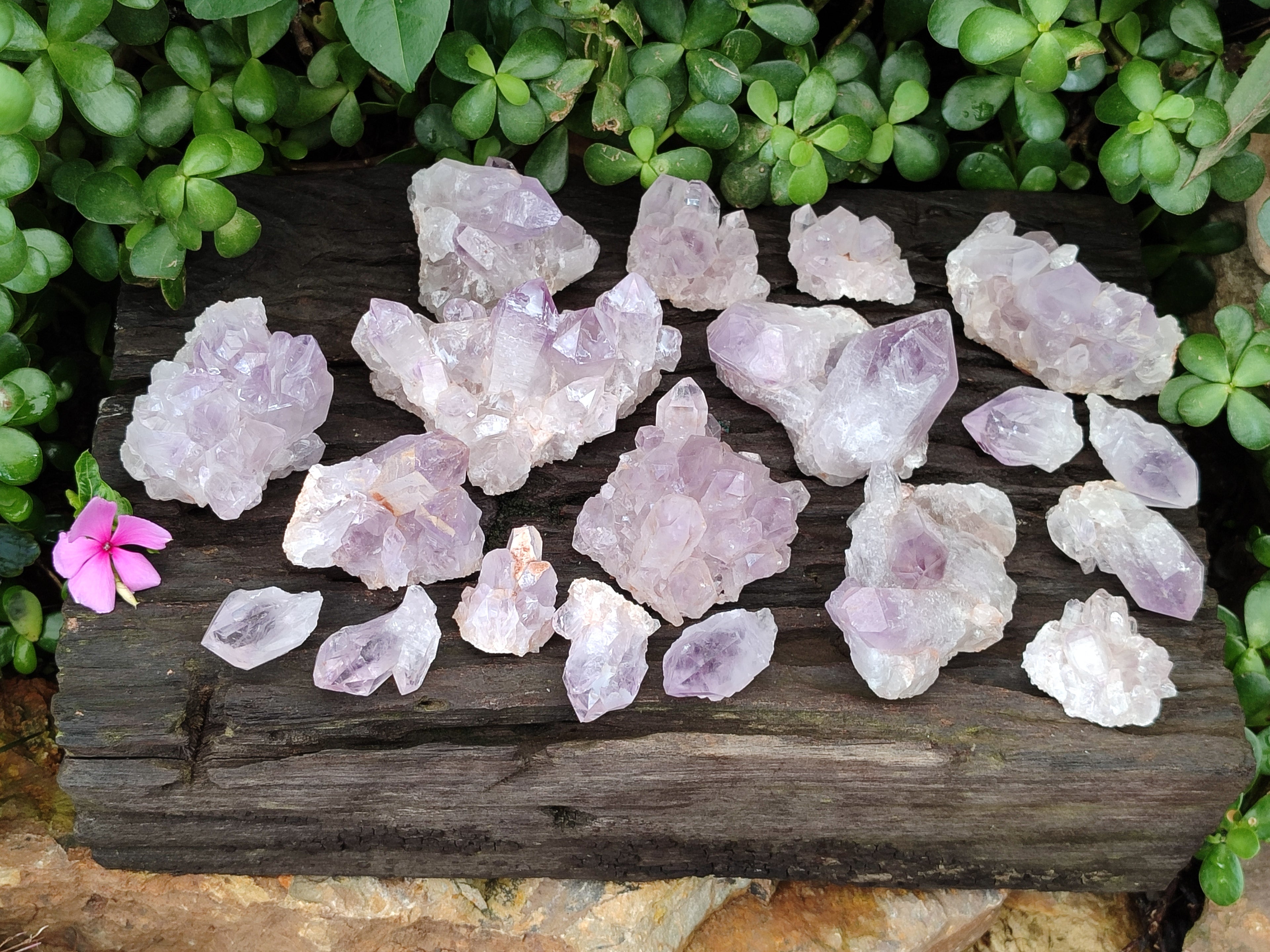 Natural Jacaranda Amethyst Quartz Clusters x 3.52 Kg Lot From Mumbwa, Zambia - Toprock Gemstones and Minerals 
