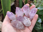 Natural Jacaranda Amethyst Quartz Clusters x 3.52 Kg Lot From Mumbwa, Zambia - Toprock Gemstones and Minerals 