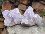 Natural Jacaranda Amethyst Quartz Clusters x 3.52 Kg Lot From Mumbwa, Zambia - Toprock Gemstones and Minerals 