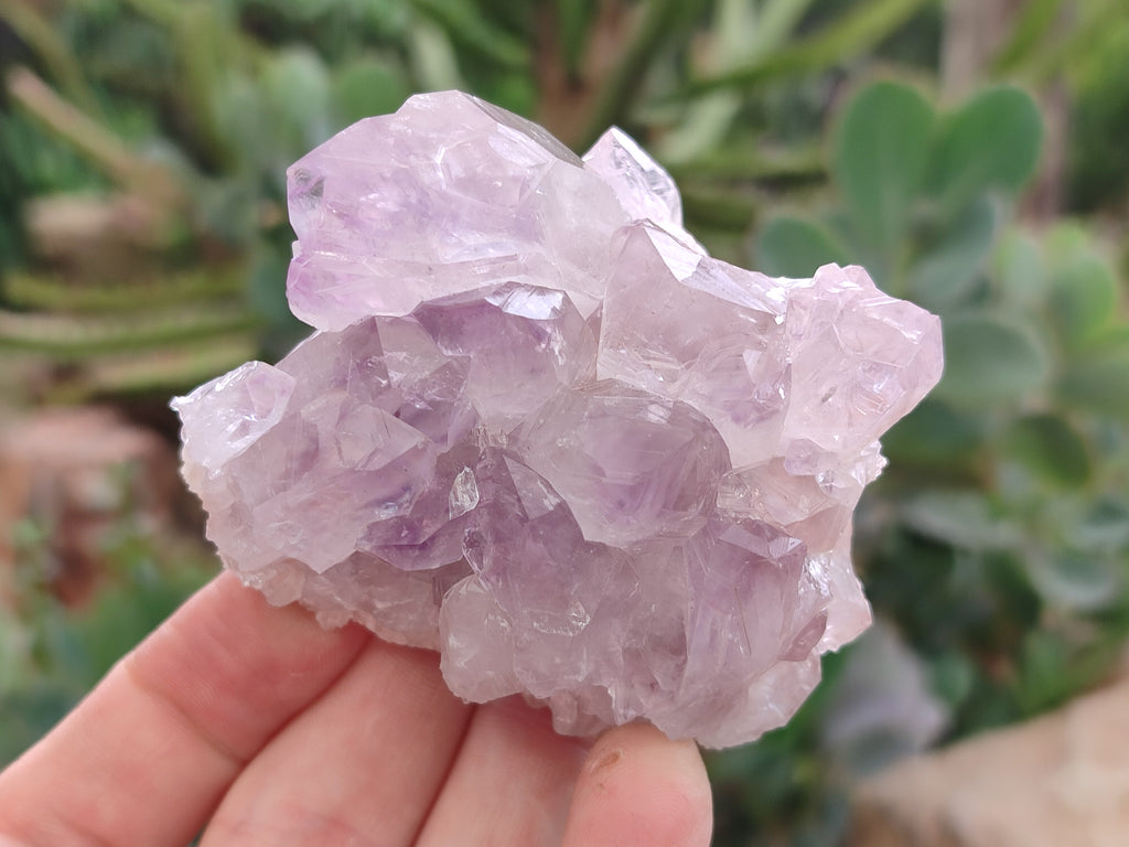 Natural Jacaranda Amethyst Quartz Clusters x 3.52 Kg Lot From Mumbwa, Zambia - Toprock Gemstones and Minerals 