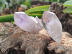 Natural Jacaranda Amethyst Quartz Clusters x 3.52 Kg Lot From Mumbwa, Zambia - Toprock Gemstones and Minerals 