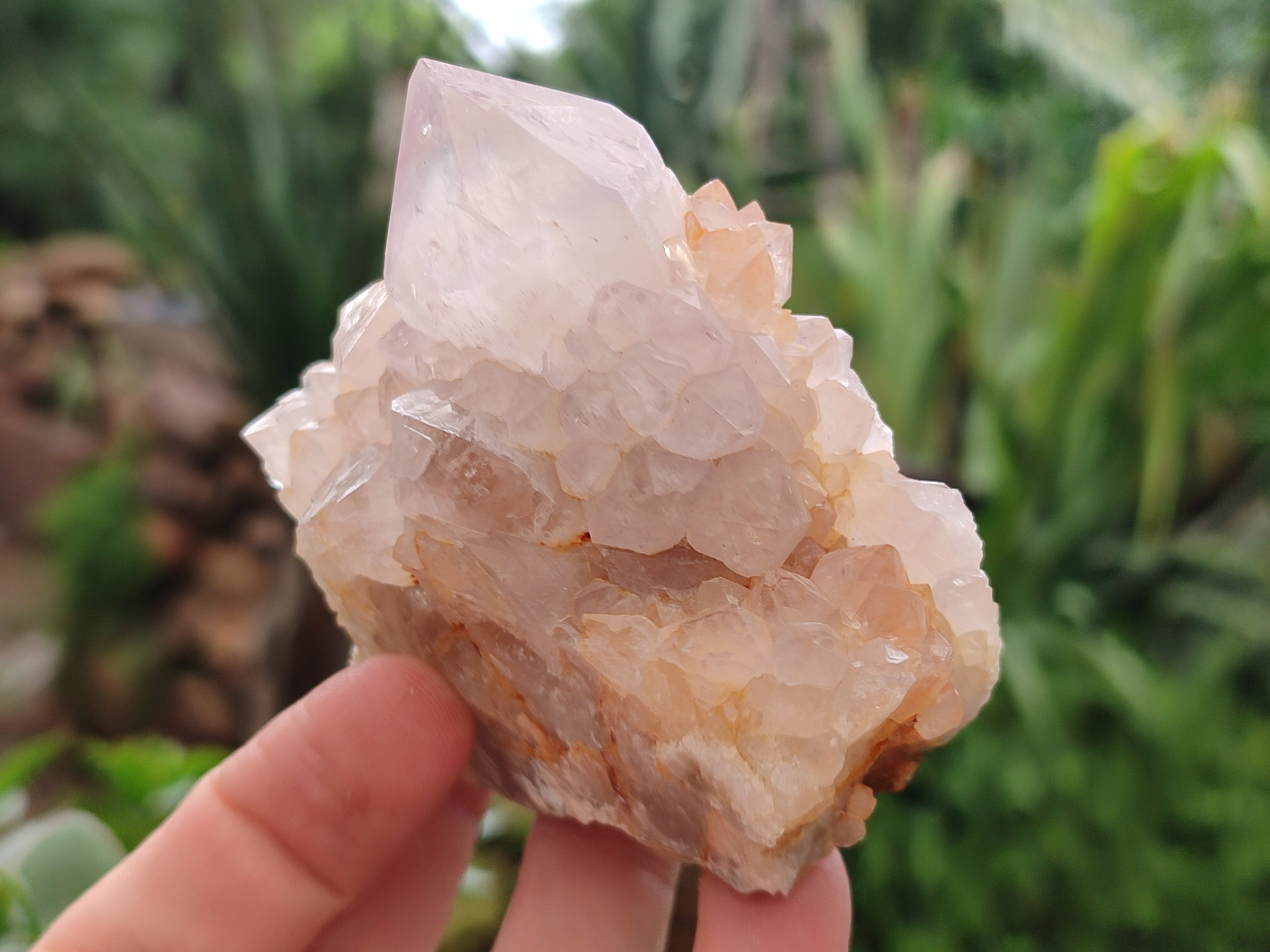 Natural Amethyst Spirit Quartz Clusters x 12 From Boekenhouthoek, South Africa - Toprock Gemstones and Minerals 