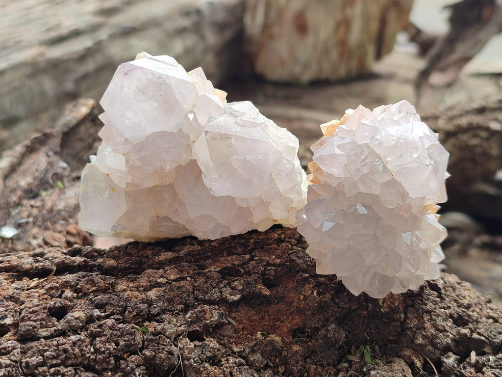 Natural Amethyst Spirit Quartz Clusters x 12 From Boekenhouthoek, South Africa - Toprock Gemstones and Minerals 