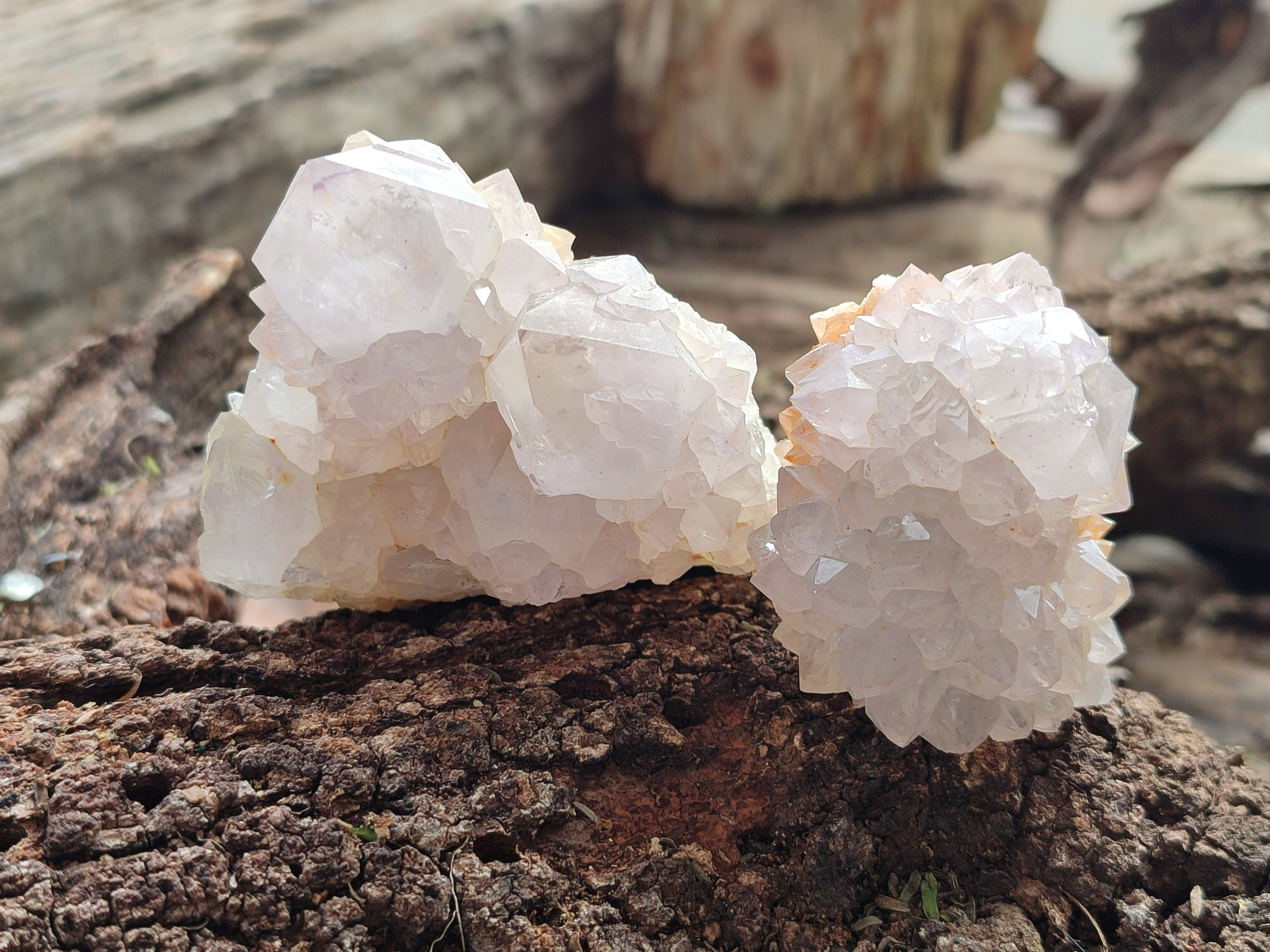 Natural Amethyst Spirit Quartz Clusters x 12 From Boekenhouthoek, South Africa - Toprock Gemstones and Minerals 