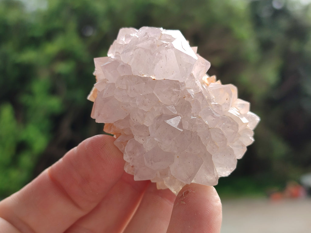 Natural Amethyst Spirit Quartz Clusters x 12 From Boekenhouthoek, South Africa - Toprock Gemstones and Minerals 