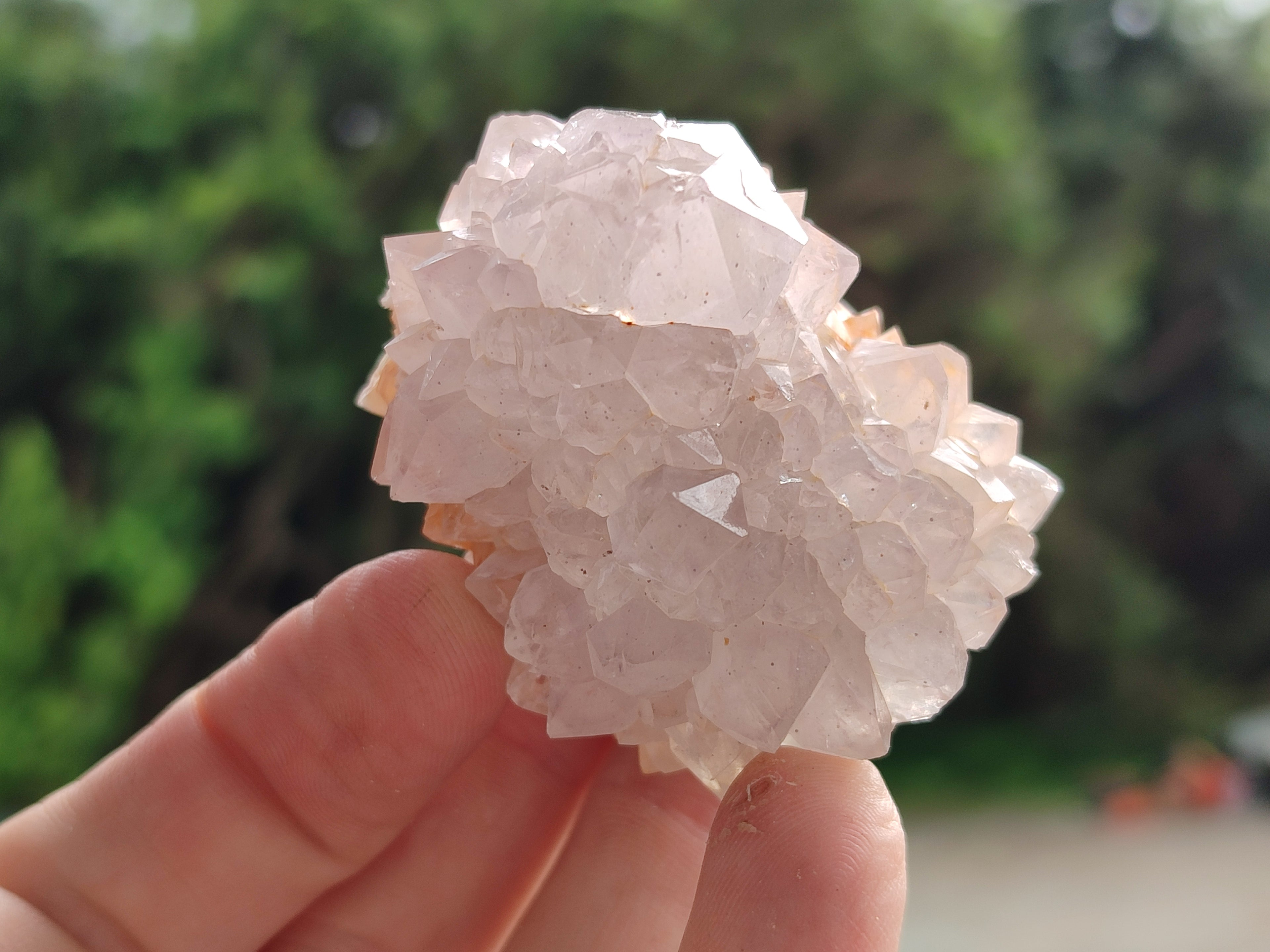 Natural Amethyst Spirit Quartz Clusters x 12 From Boekenhouthoek, South Africa - Toprock Gemstones and Minerals 
