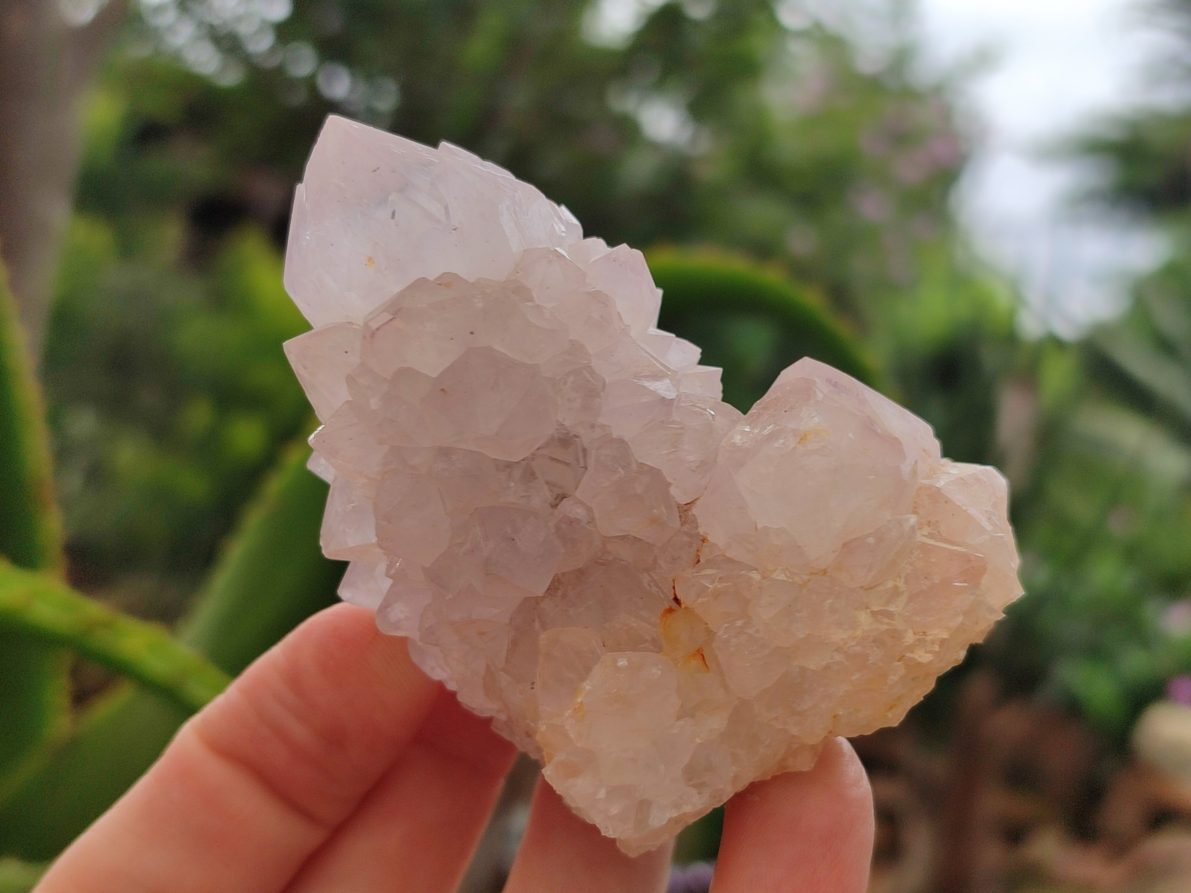 Natural Amethyst Spirit Quartz Clusters x 12 From Boekenhouthoek, South Africa - Toprock Gemstones and Minerals 