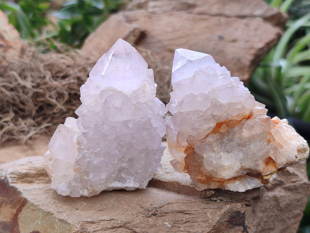 Natural Amethyst Spirit Quartz Clusters x 12 From Boekenhouthoek, South Africa - Toprock Gemstones and Minerals 