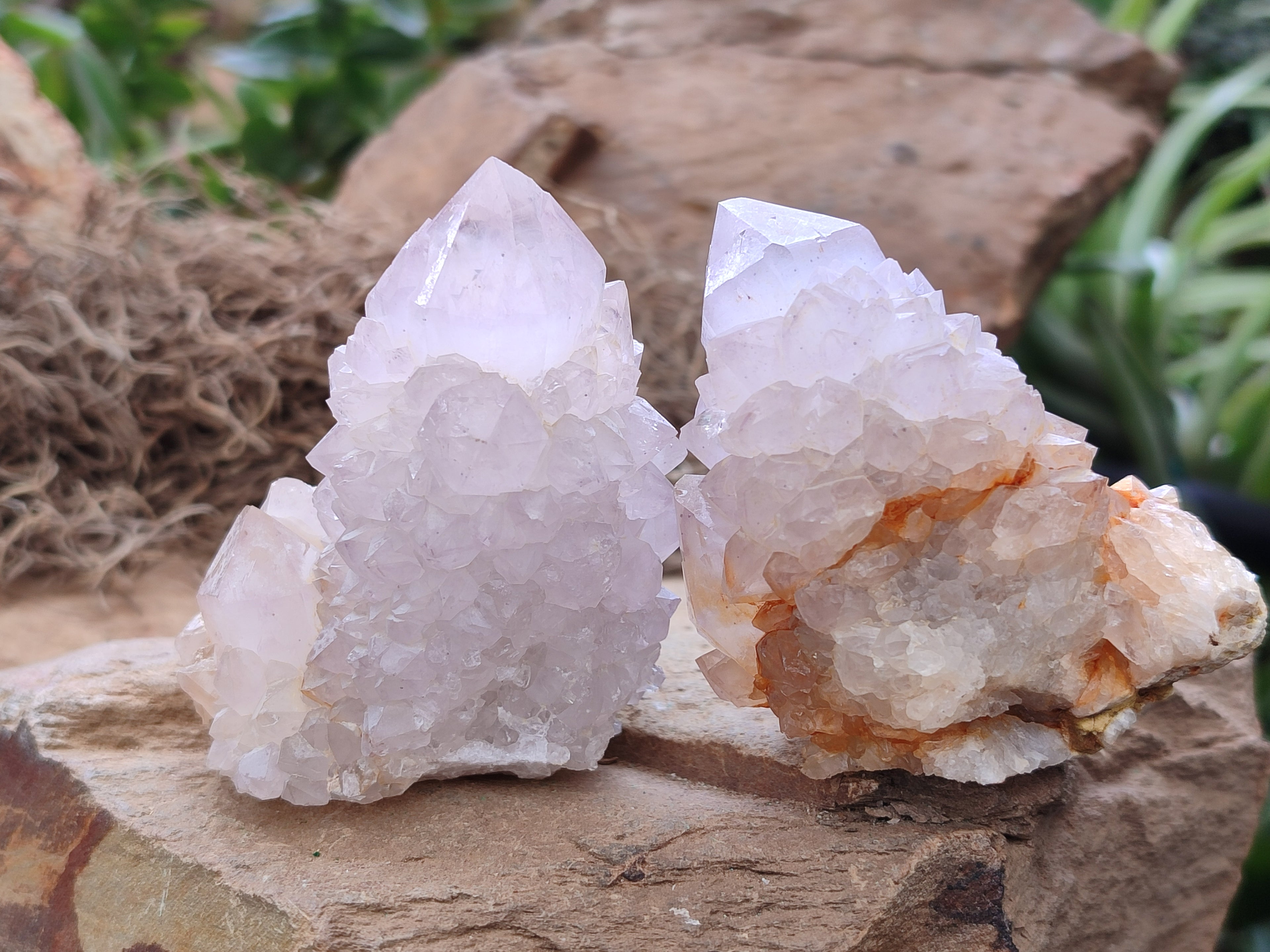 Natural Amethyst Spirit Quartz Clusters x 12 From Boekenhouthoek, South Africa - Toprock Gemstones and Minerals 