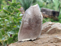 Natural Mixed Selection of Minerals x 13 From Southern Africa - Toprock Gemstones and Minerals 