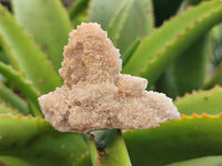 Natural Mixed Selection of Minerals x 13 From Southern Africa - Toprock Gemstones and Minerals 