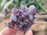 Natural Mixed Selection of Minerals x 13 From Southern Africa - Toprock Gemstones and Minerals 