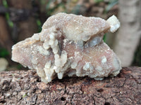 Natural Mixed Selection of Minerals x 13 From Southern Africa - Toprock Gemstones and Minerals 