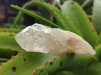 Natural Mixed Selection of Minerals x 13 From Southern Africa - Toprock Gemstones and Minerals 