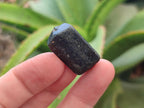Natural Alluvial Schorl Black Tourmaline Crystals x 2 Kg Lot From Zimbabwe - Toprock Gemstones and Minerals 