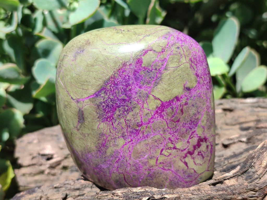 Polished Stichtite Standing Free Forms x 2 From Barberton, South Africa - Toprock Gemstones and Minerals 