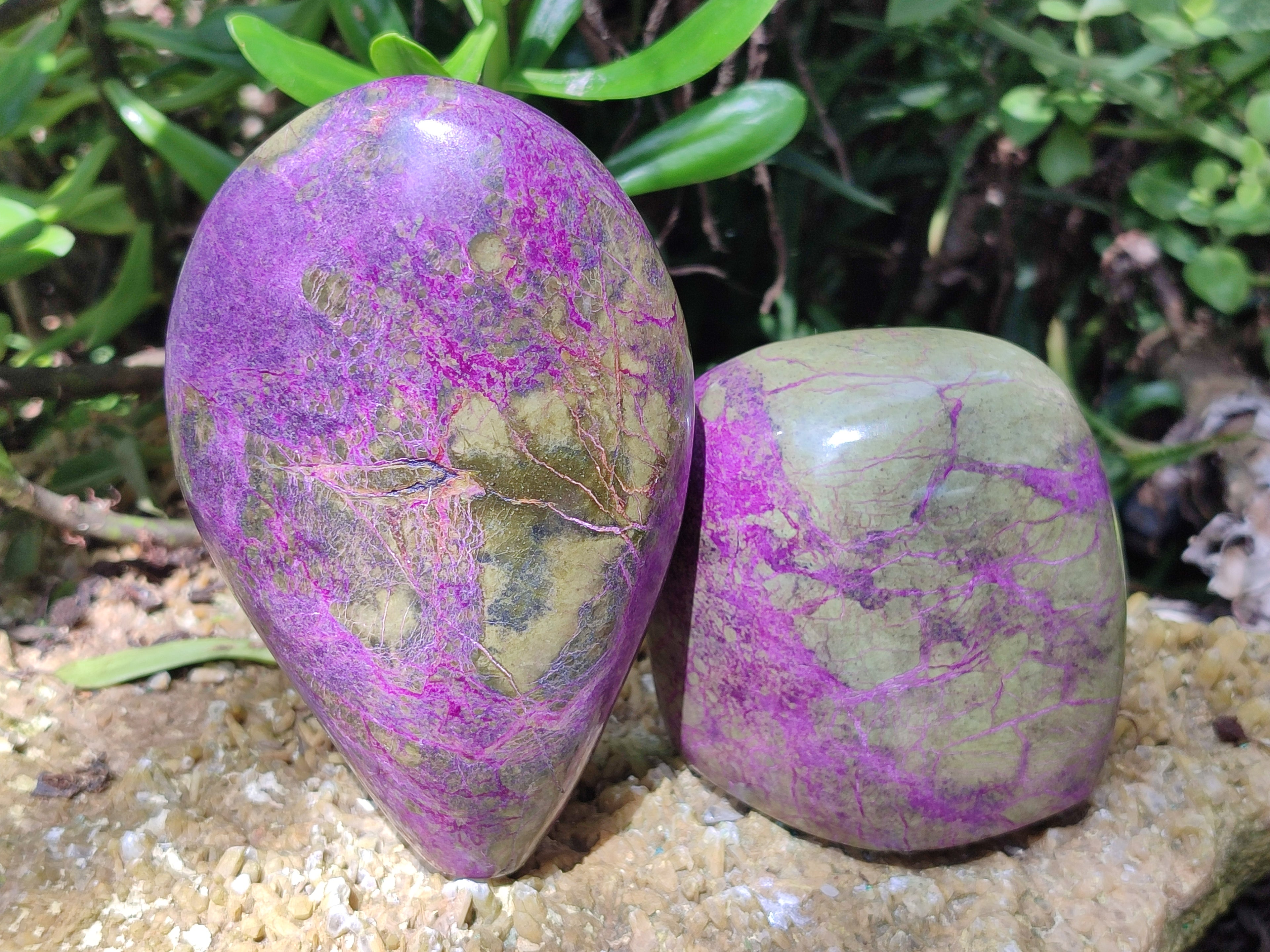 Polished Stichtite Standing Free Forms x 2 From Barberton, South Africa - Toprock Gemstones and Minerals 