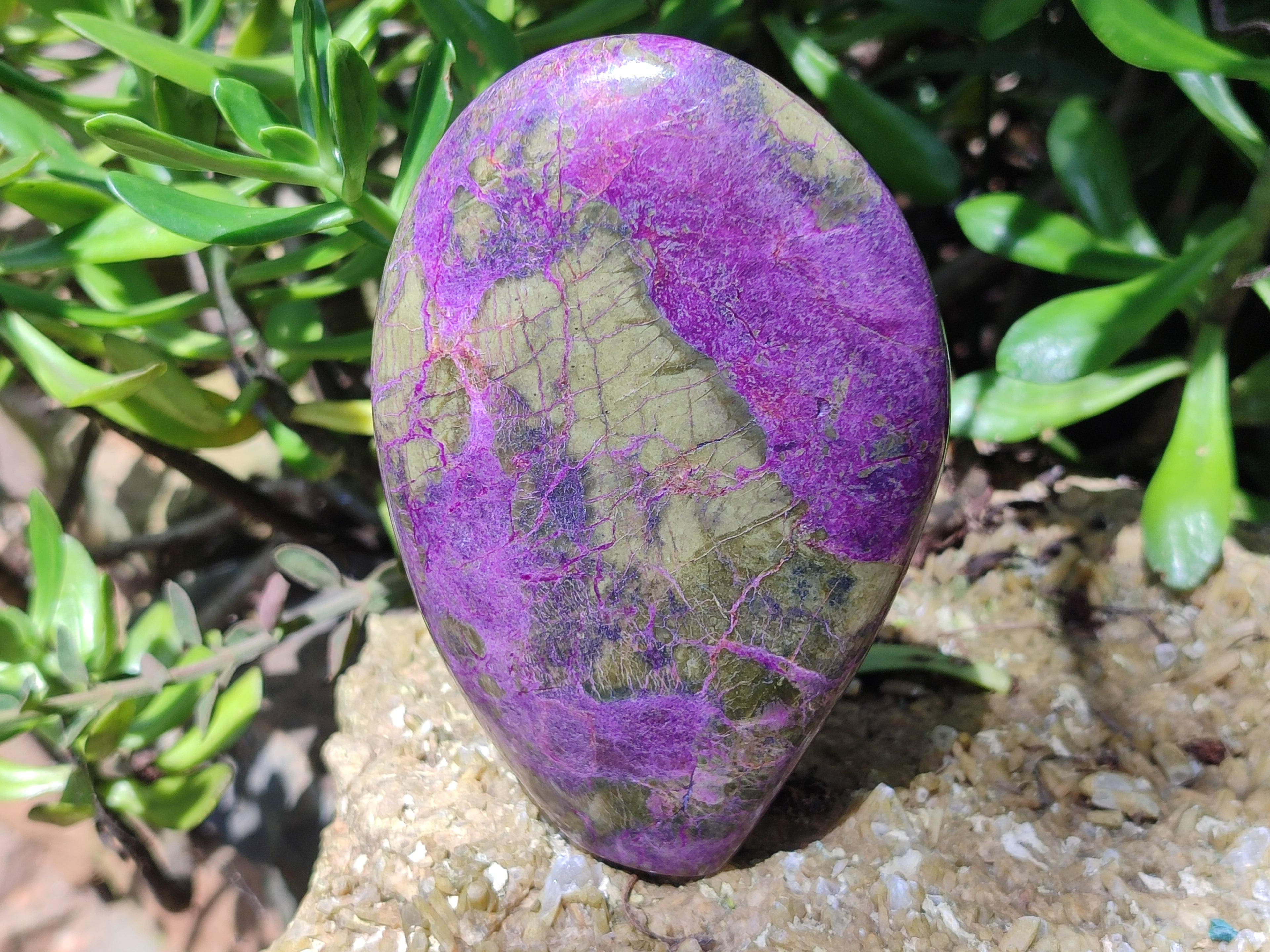 Polished Stichtite Standing Free Forms x 2 From Barberton, South Africa - Toprock Gemstones and Minerals 