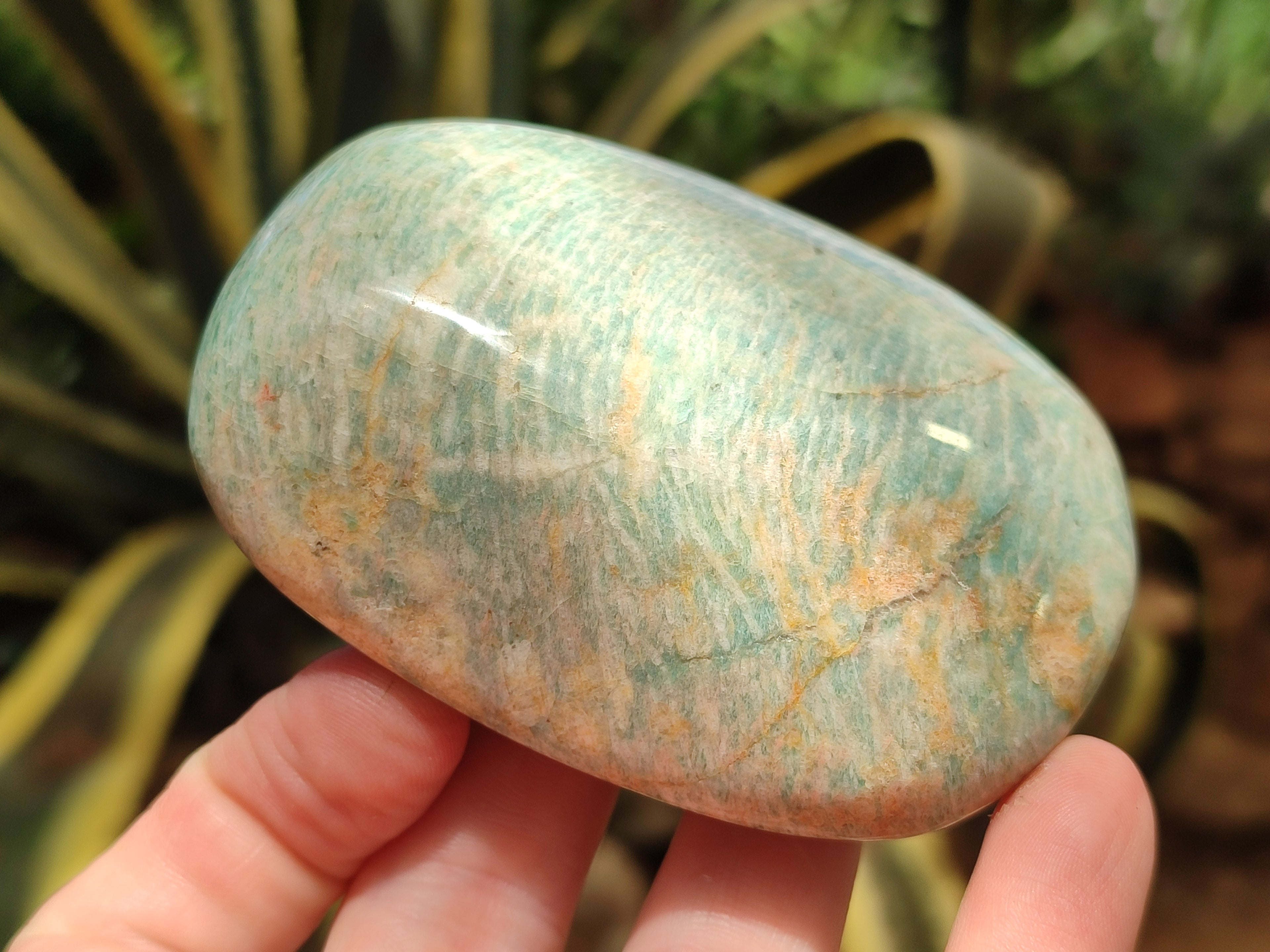 Polished Amazonite Free Forms x 8 From Madagascar - Toprock Gemstones and Minerals 