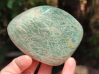 Polished Amazonite Free Forms x 8 From Madagascar - Toprock Gemstones and Minerals 