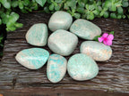 Polished Amazonite Free Forms x 8 From Madagascar - Toprock Gemstones and Minerals 