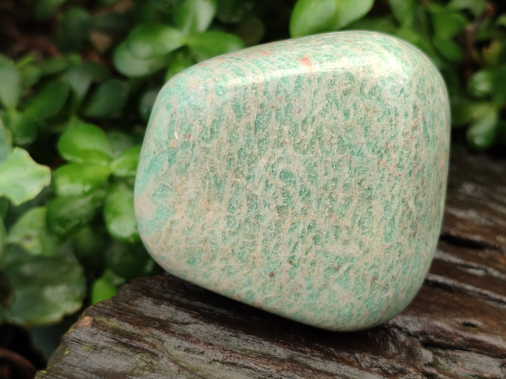 Polished Amazonite Free Forms x 8 From Madagascar - Toprock Gemstones and Minerals 