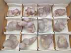 Natural Amethyst Spirit Quartz Clusters x 12 From Boekenhouthoek, South Africa - Toprock Gemstones and Minerals 