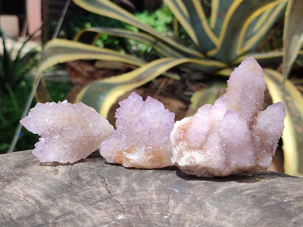 Natural Amethyst Spirit Quartz Clusters x 12 From Boekenhouthoek, South Africa - Toprock Gemstones and Minerals 