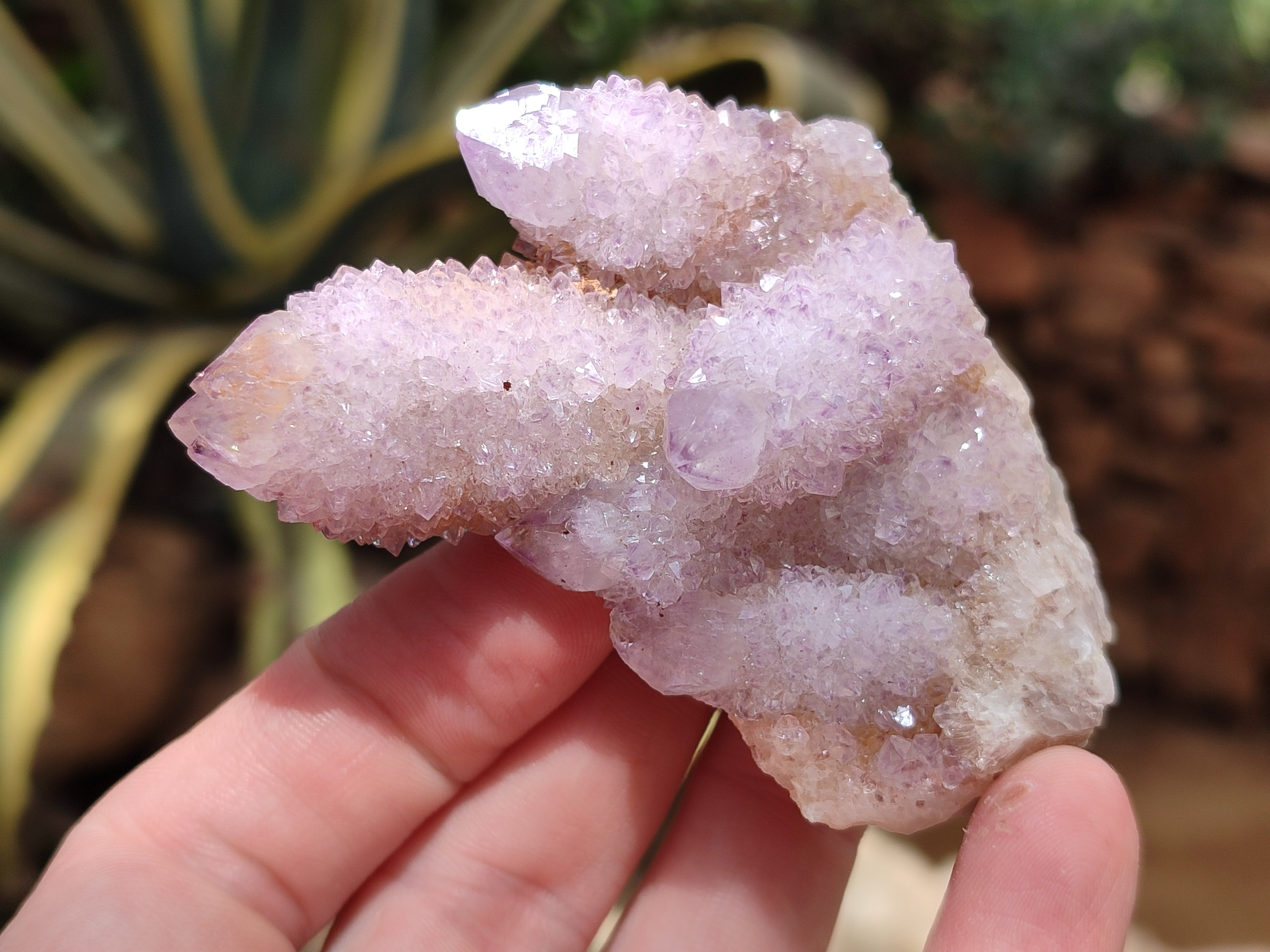 Natural Amethyst Spirit Quartz Clusters x 12 From Boekenhouthoek, South Africa - Toprock Gemstones and Minerals 