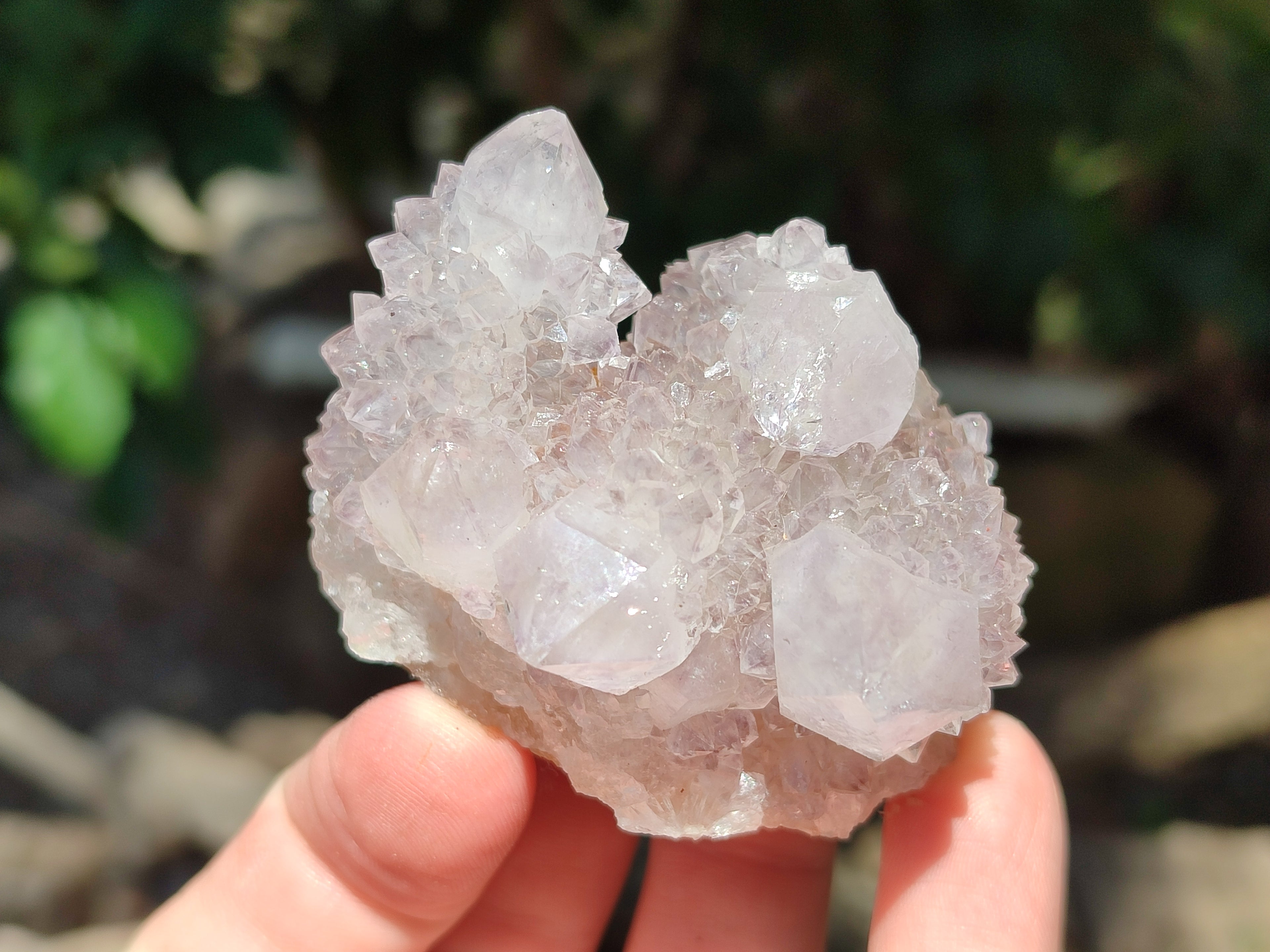 Natural Amethyst Spirit Quartz Clusters x 12 From Boekenhouthoek, South Africa - Toprock Gemstones and Minerals 