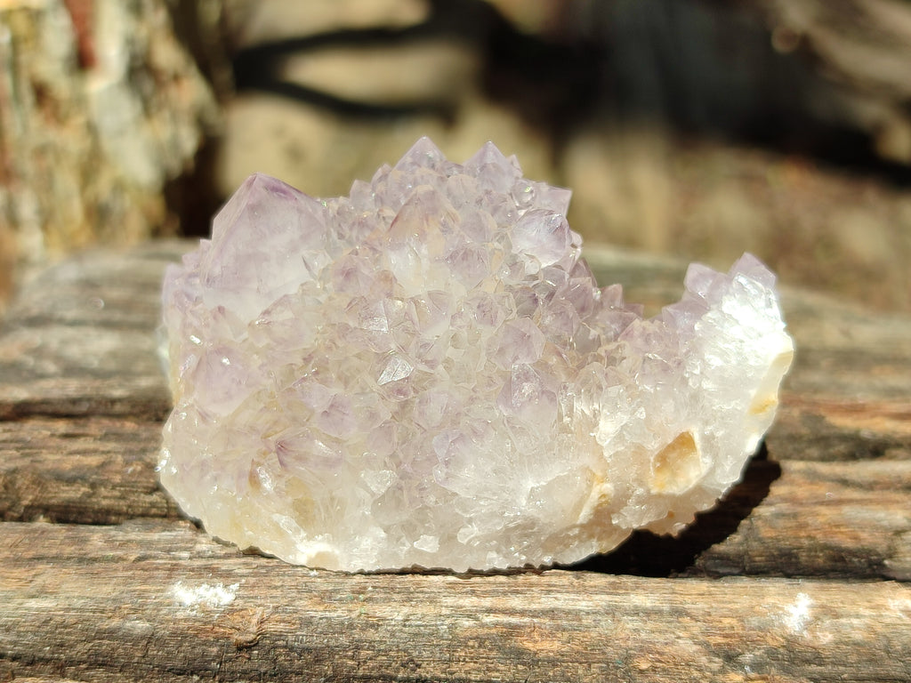 Natural Amethyst Spirit Quartz Clusters x 12 From Boekenhouthoek, South Africa - Toprock Gemstones and Minerals 