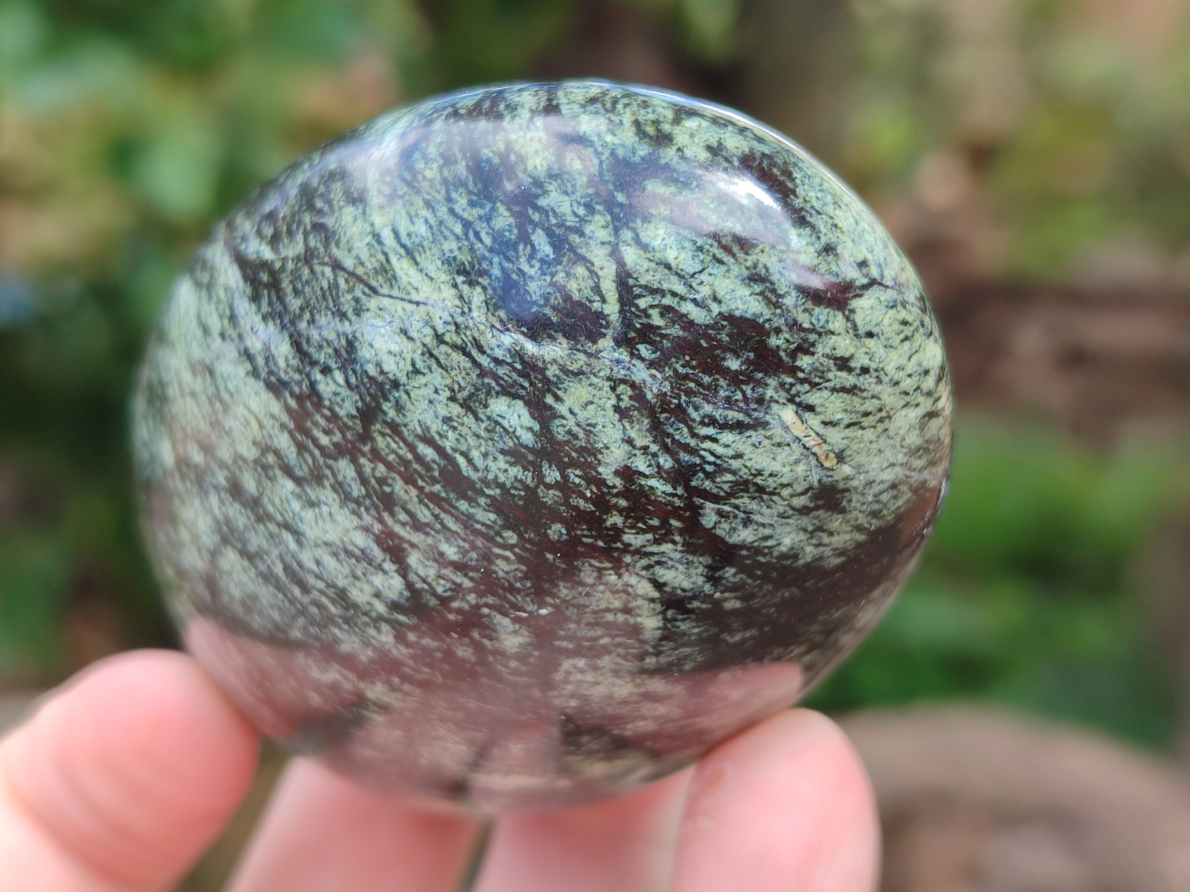 Polished Leopard Stone Free Forms x 6 From Zimbabwe - Toprock Gemstones and Minerals 