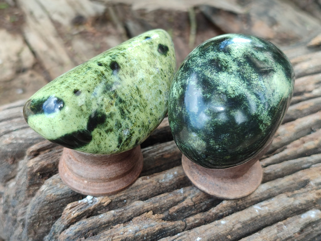 Polished Leopard Stone Free Forms x 6 From Zimbabwe - Toprock Gemstones and Minerals 