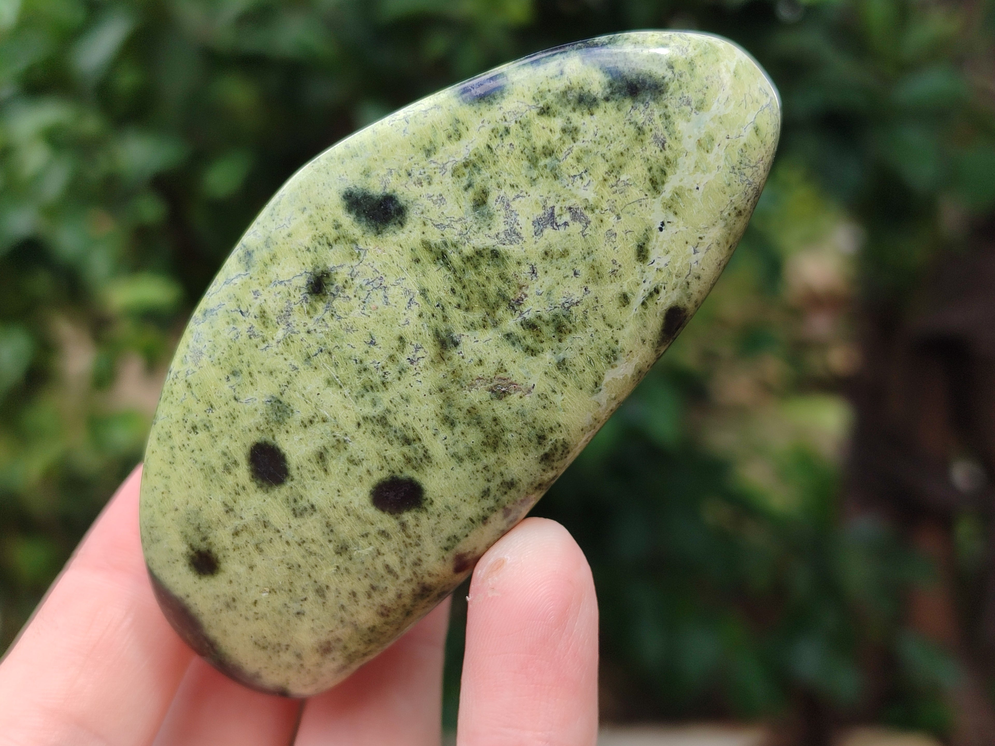 Polished Leopard Stone Free Forms x 6 From Zimbabwe - Toprock Gemstones and Minerals 