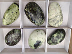 Polished Leopard Stone Free Forms x 6 From Zimbabwe - Toprock Gemstones and Minerals 