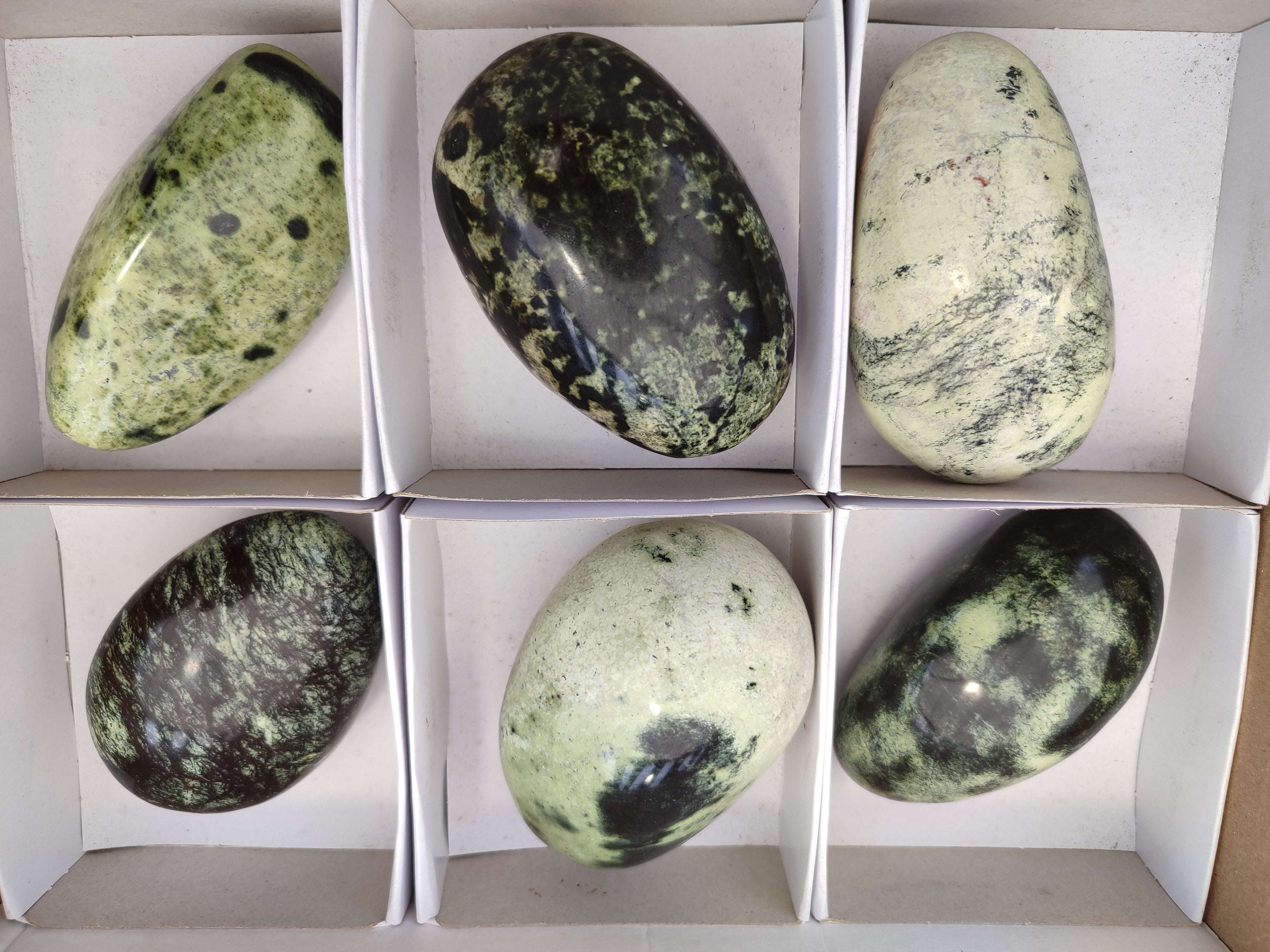 Polished Leopard Stone Free Forms x 6 From Zimbabwe - Toprock Gemstones and Minerals 